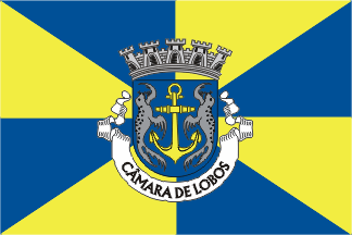 bandeira_camara_municipal_camara_lobos_1997